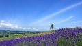 男女操逼的黄色碟子日本一地6日游  境外旅游 6880元/人